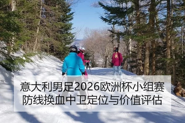 意大利男足2026欧洲杯小组赛防线换血中卫定位与价值评估